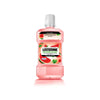 LISTERINE MOUTH WASH WATERMELON MINT 250 ML CASE PK 24