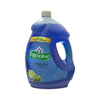 PALMOLIVE DISH LIQUID 145oz/4.27L CLEAN SALT & CITRUS SC. CASE PK 4