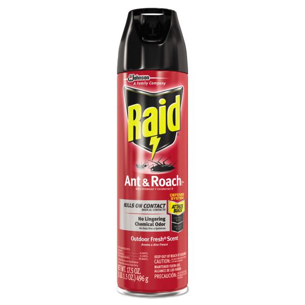 RAID OUTDOOR FRESH 17.5oz CASE PACK 12
